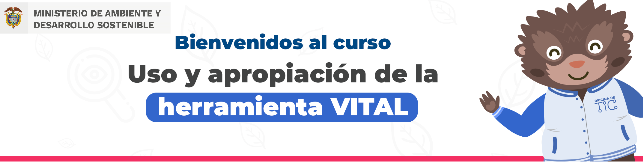 Uso y apropiación de la herramienta VITAL